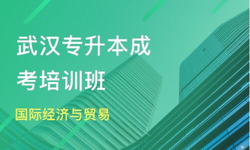 武漢成考專升本國際貿(mào)易與經(jīng)濟專業(yè)選擇指南 領(lǐng)航時代與淘學(xué)培訓(xùn)深度解析
