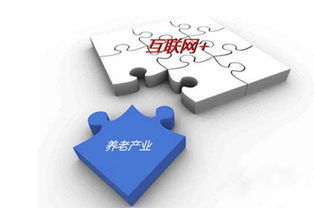 打造沒有圍墻的養(yǎng)老院 互聯(lián)網(wǎng)技術(shù)如何重塑養(yǎng)老服務